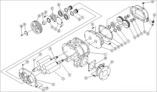 羅茨鼓風機結構圖.jpg 羅茨鼓風機結構圖