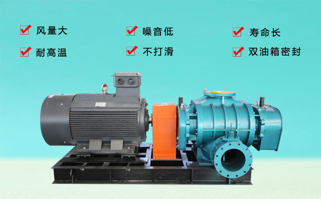豐源機械三葉羅茨鼓風機產品展示 豐源機械三葉羅茨鼓風機產品展示
