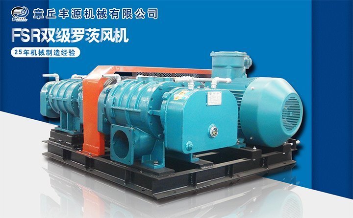 雙級羅茨風(fēng)機 雙級羅茨風(fēng)機