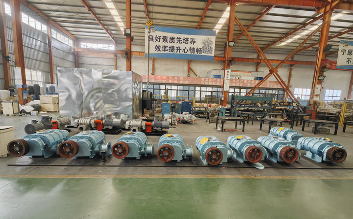 羅茨鼓風(fēng)機 羅茨鼓風(fēng)機